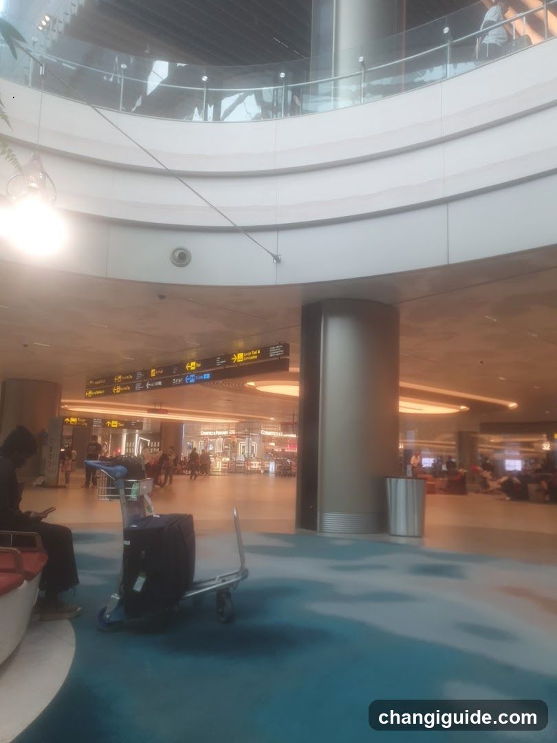 A spacious airport terminal with a curved upper level, glass railings, and hanging lights. A luggage cart sits in the foreground on blue carpeting. In the background, travelers walk near illuminated signage displaying flight information. Storefronts are visible through large windows.
