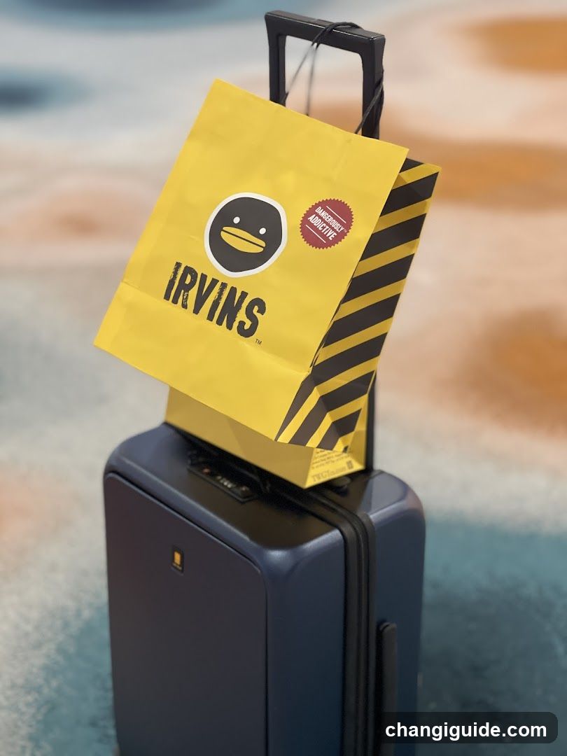 Irving's Shopping Bag on Suitcase