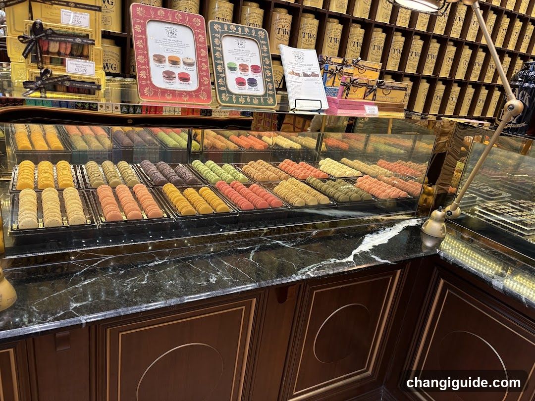 Macaron Display Case
