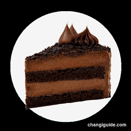 Chocolate Cake Slice