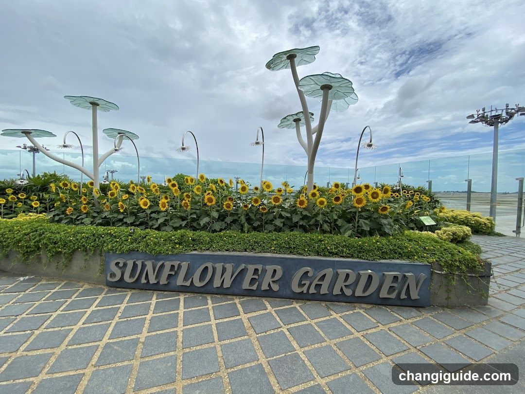 Sunflower Garden Signage