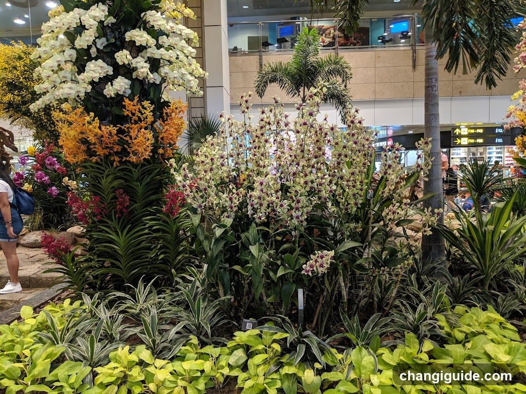 Indoor Flower Display