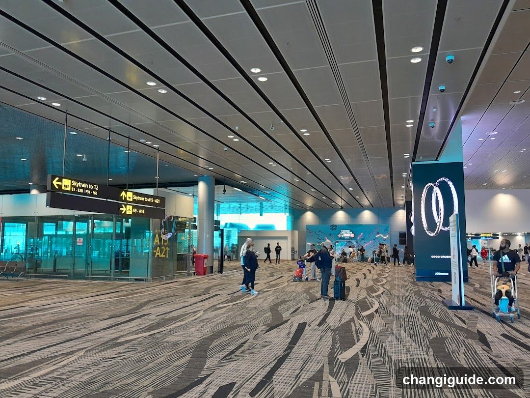 Airport Terminal Interior