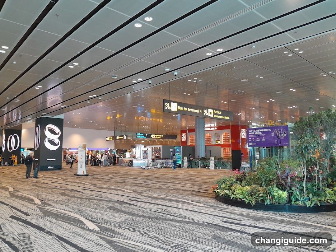 Airport Terminal Interior