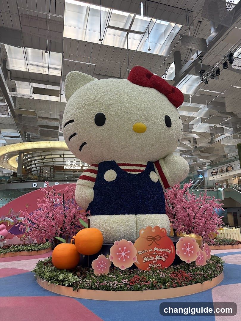 Hello Kitty Display