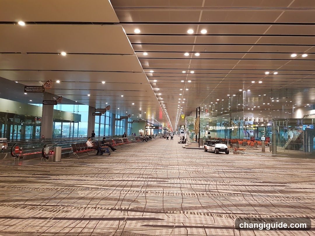 Airport Terminal Interior