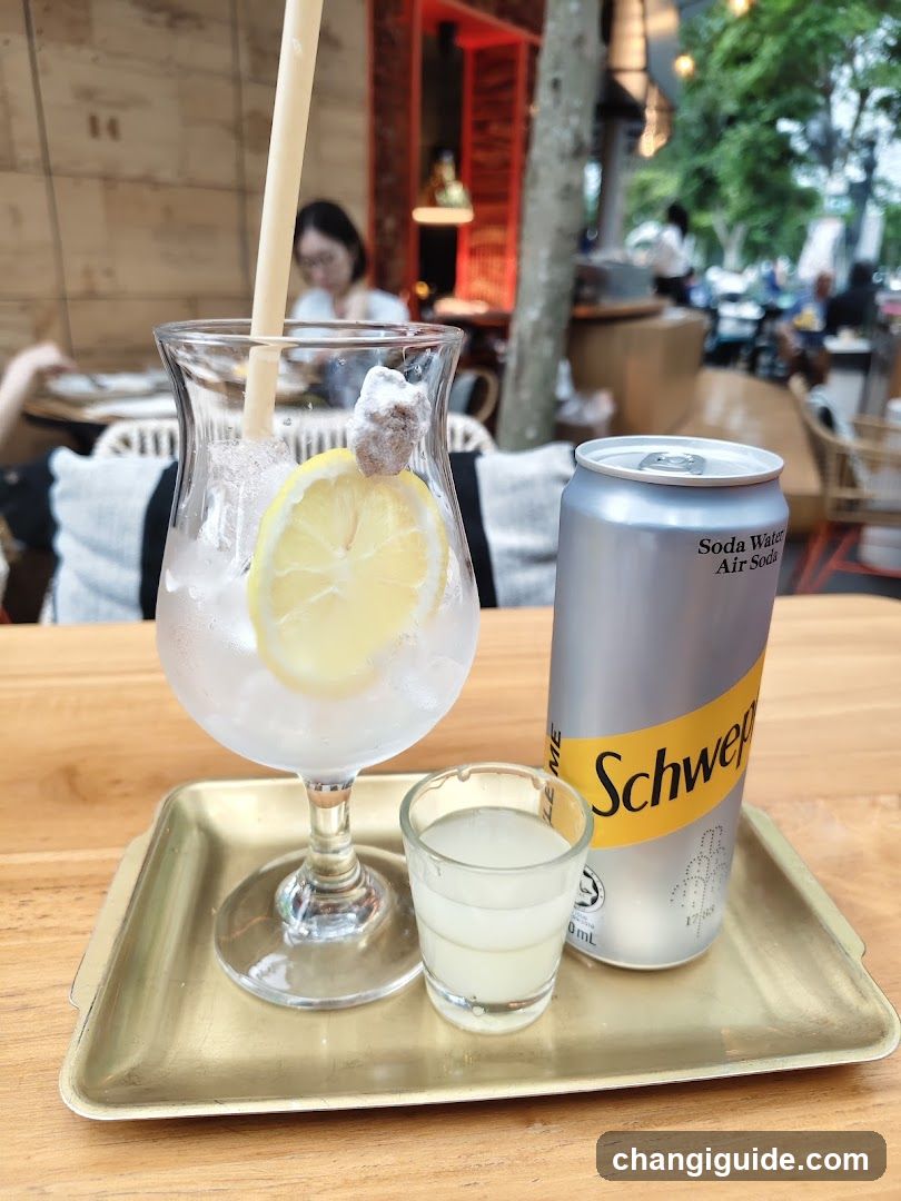 Soda Water Drink with Lemon