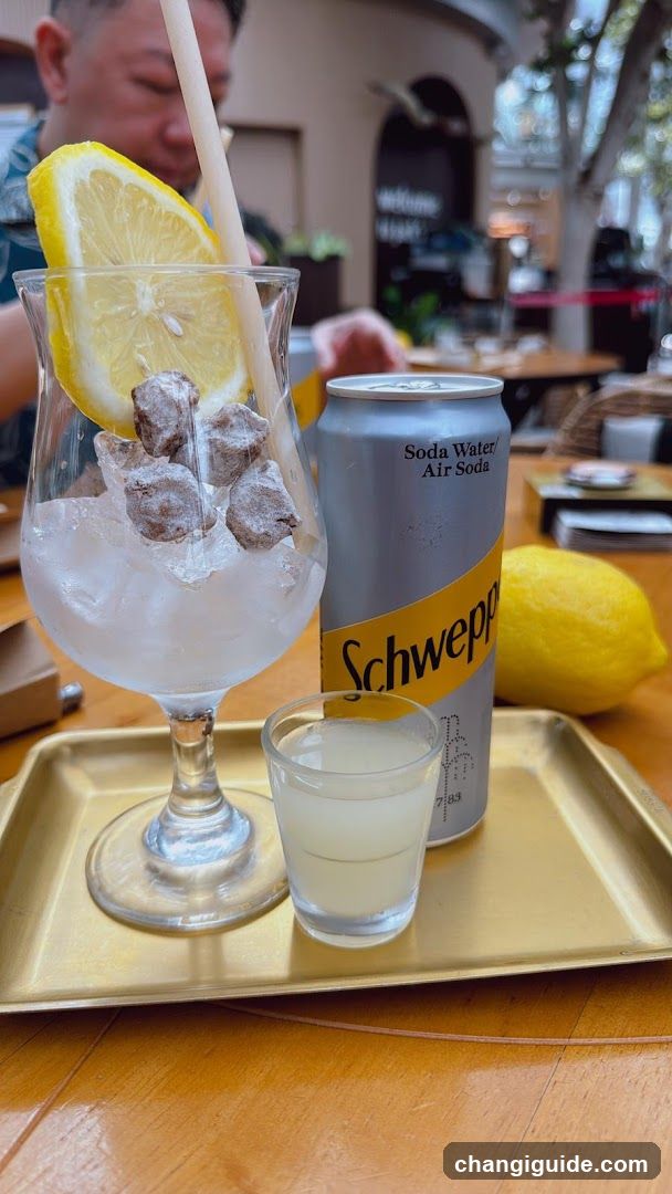 Schweppes Lemon Drink Setup