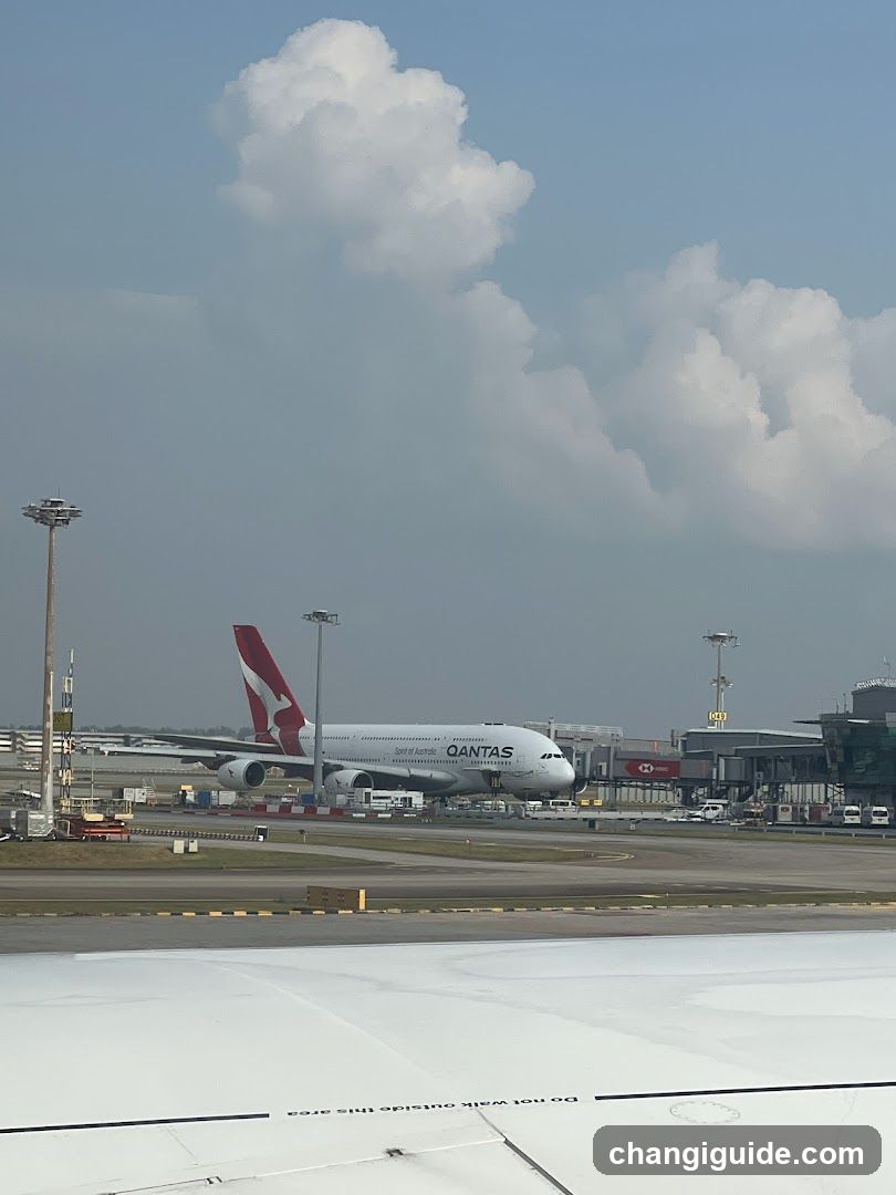Bee Cheng Hiang (Changi Airport T1 Departure/Transit Lounge East)