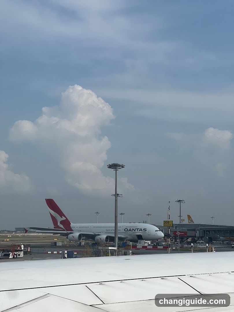 A Qantas airplane at an airport gate