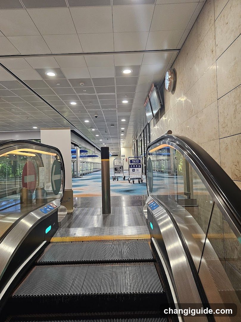 Airport Terminal Interior with Escalators