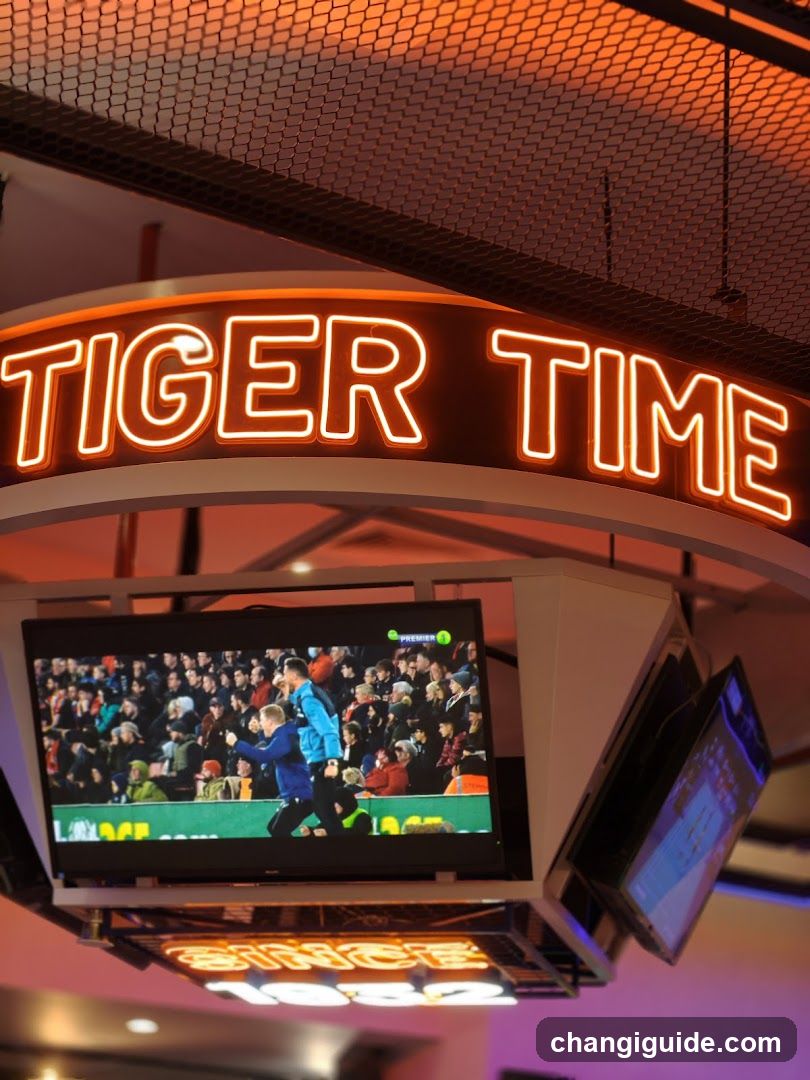 Tiger Time Bar Interior