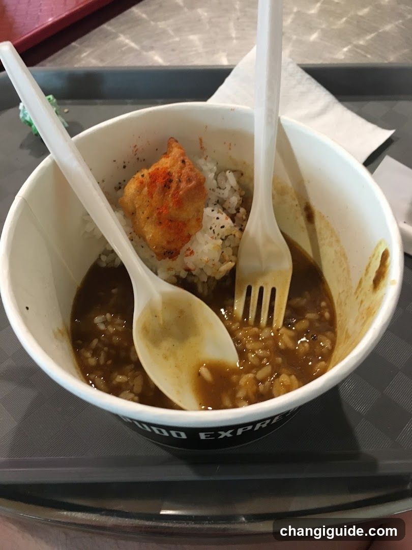 Cup of Curry Rice with Chicken