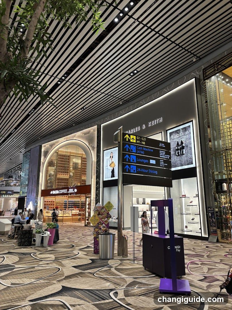 Airport Terminal Interior