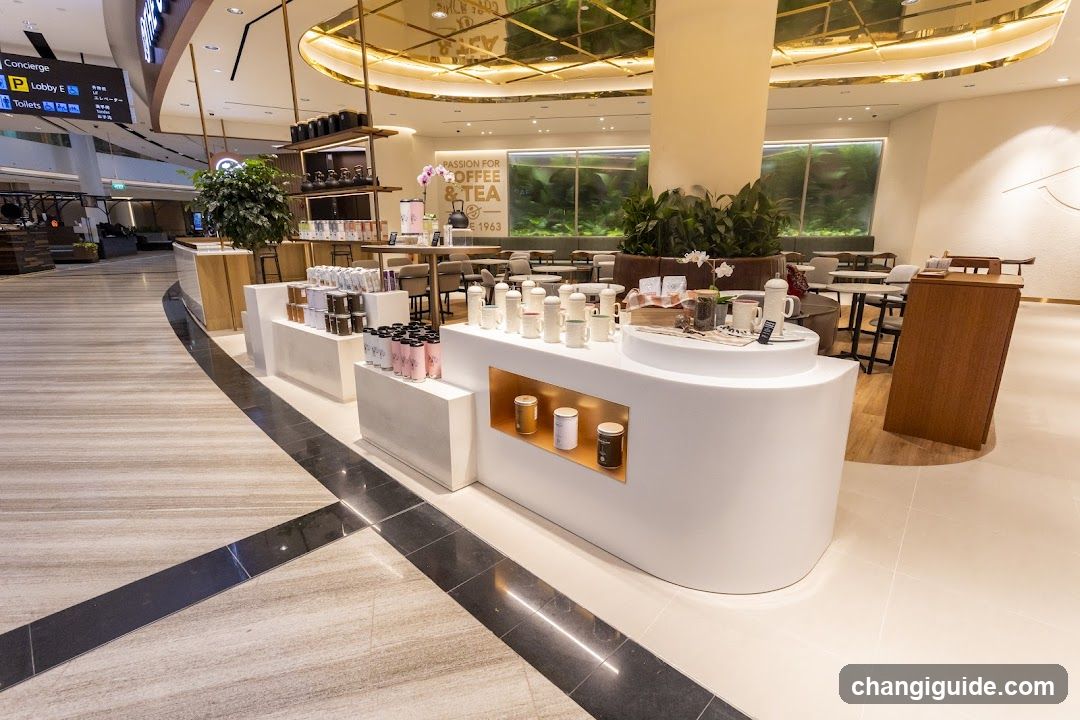 Airport Coffee & Tea Lounge Interior