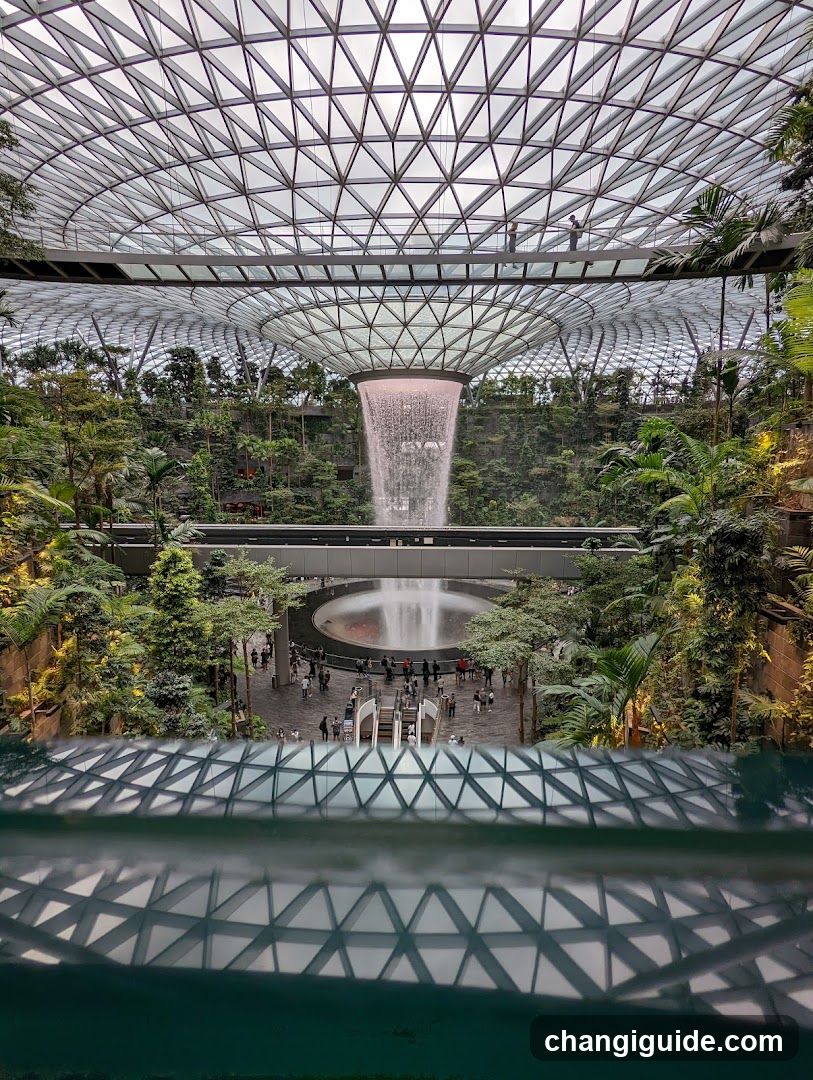 Indoor Waterfall and Greenery