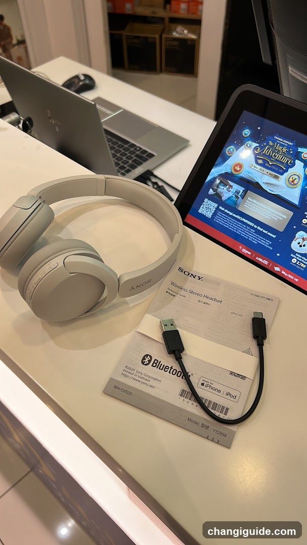 Sony Headset Display