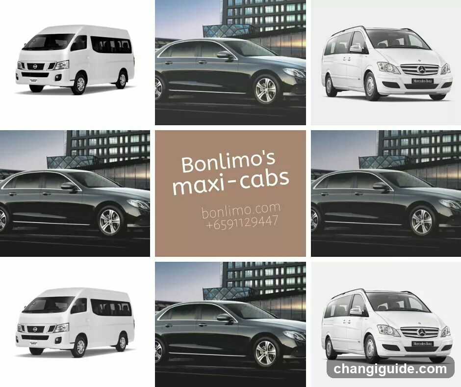 Bonlimo's maxi-cabs advertisement collage