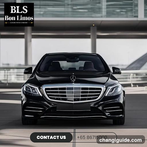 BLS Bon Limos Advertisement