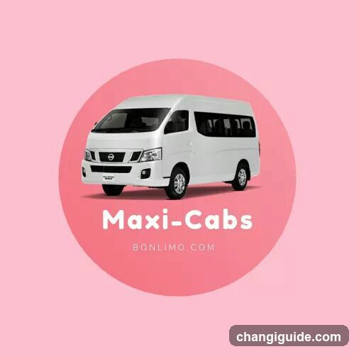 Maxi-Cabs Advertisement