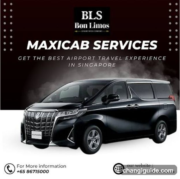 BLS Bon Limos Maxicab Services Advertisement