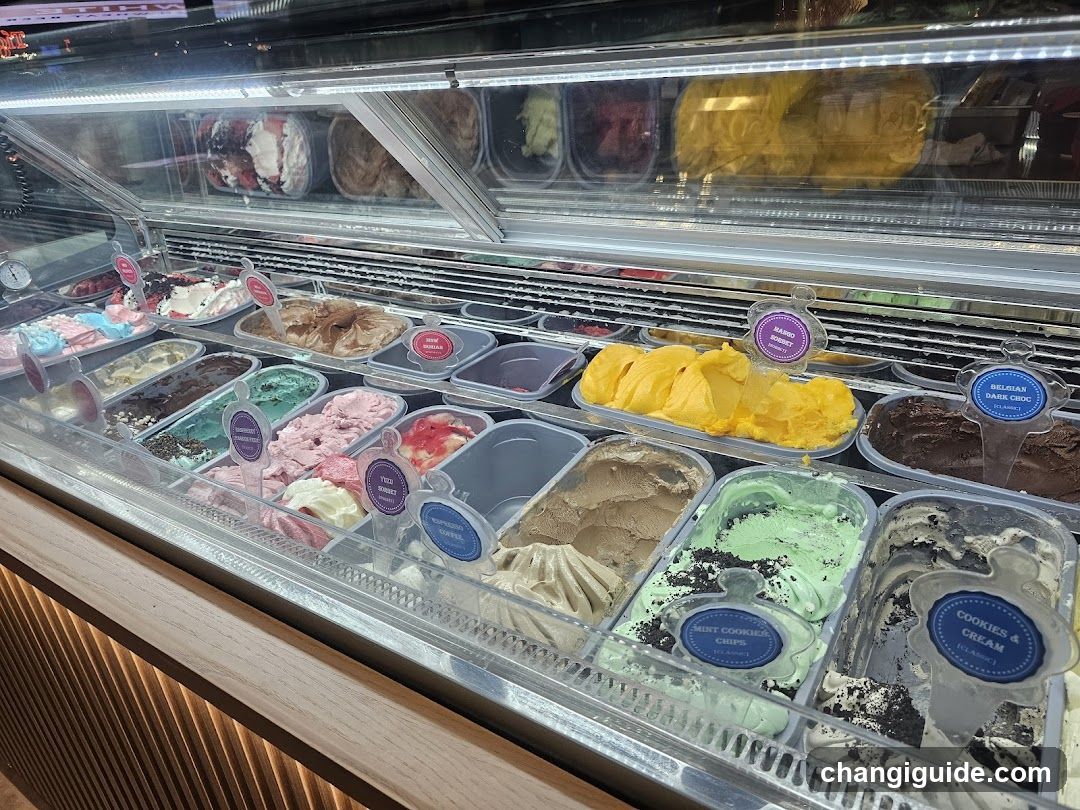 Gelato Display Case