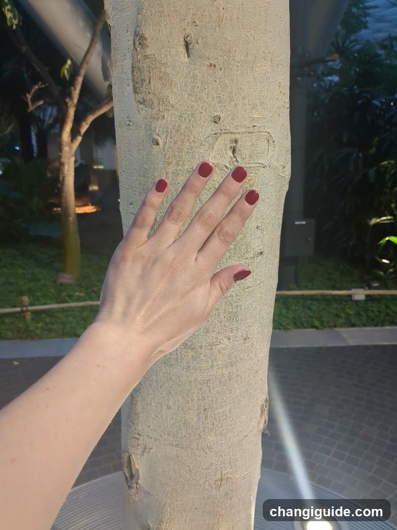 Hand on Tree Trunk