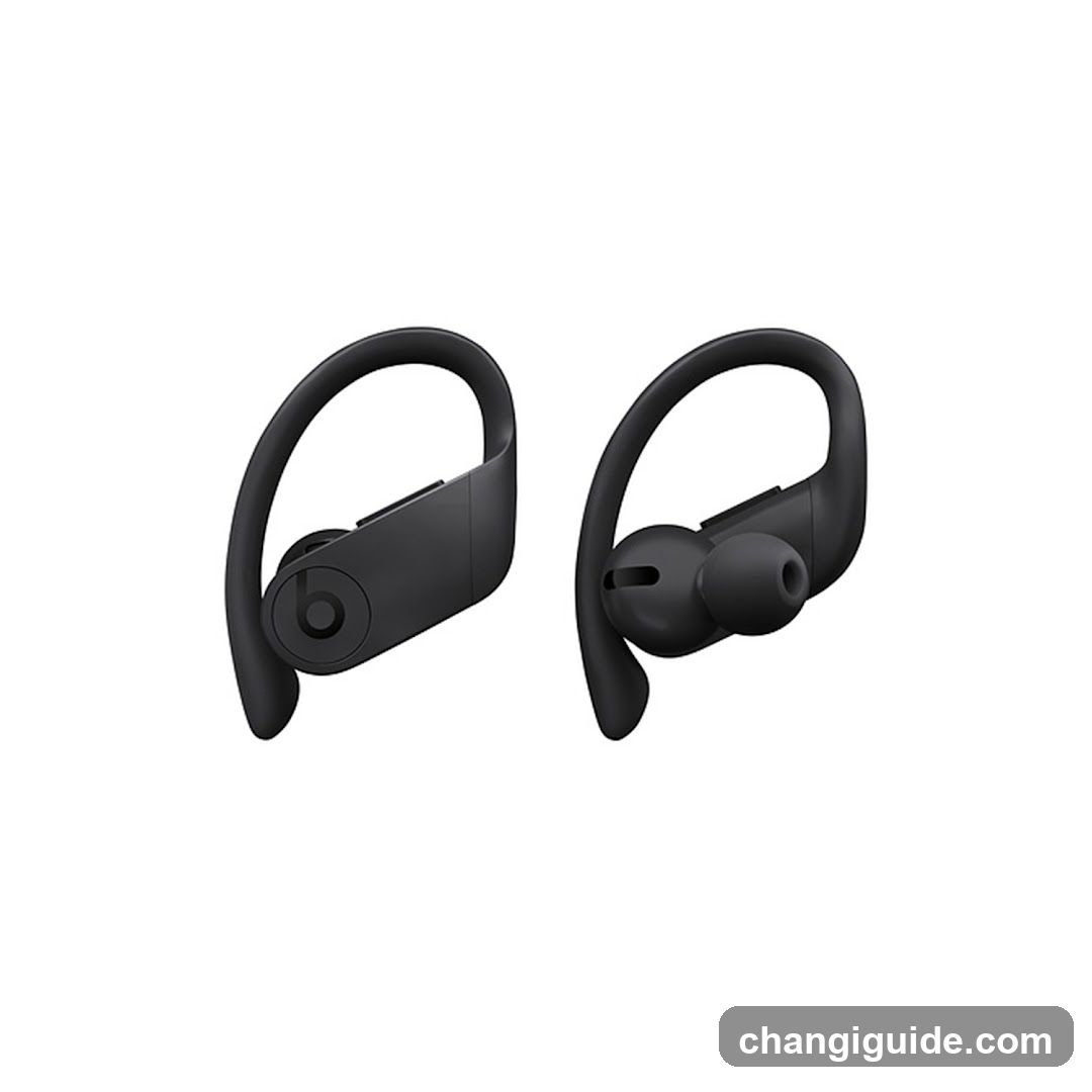 Beats Fit Pro Earbuds
