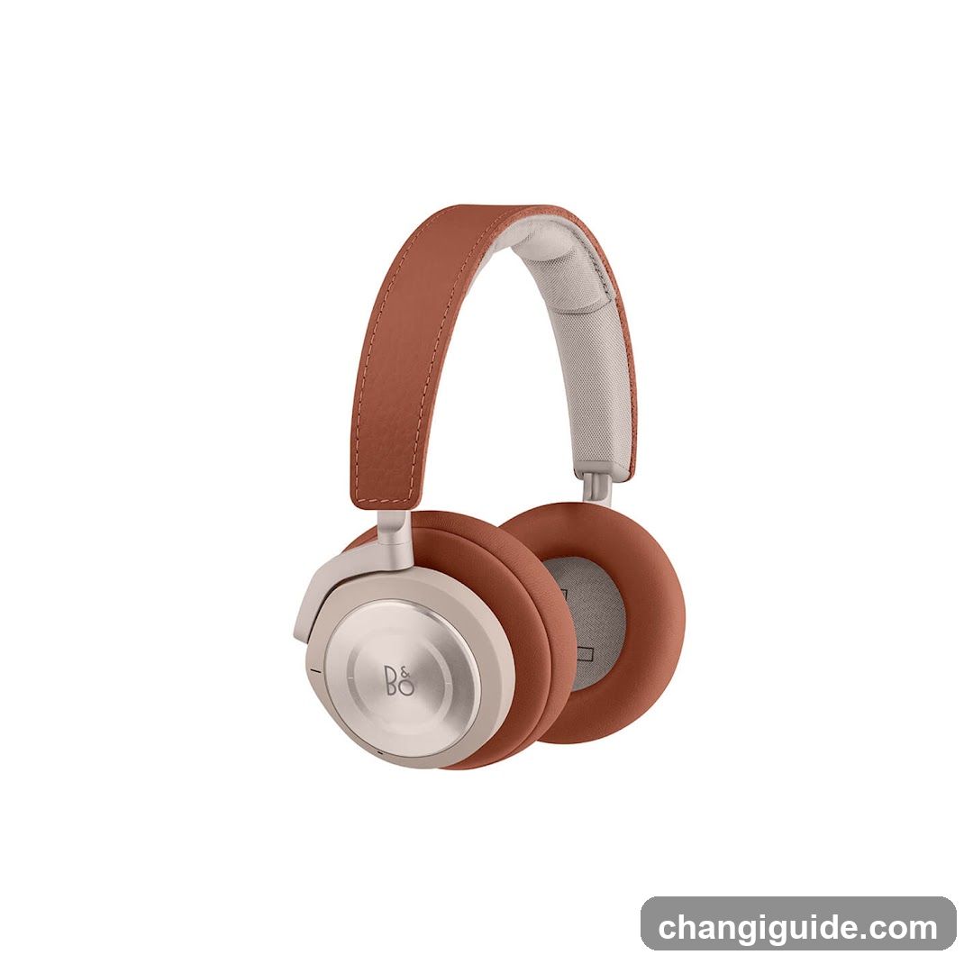 B&O Play Headphones