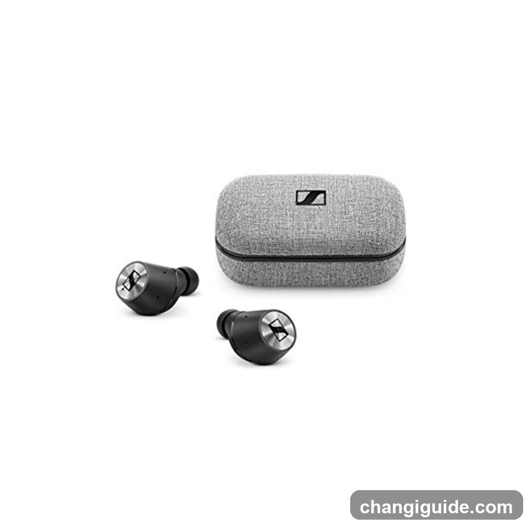 Sennheiser True Wireless Earbuds