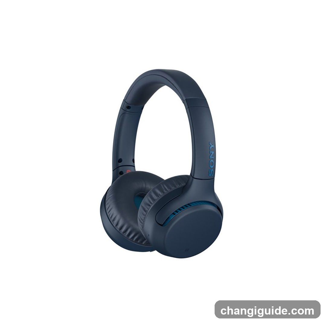Sony Wireless Headphones
