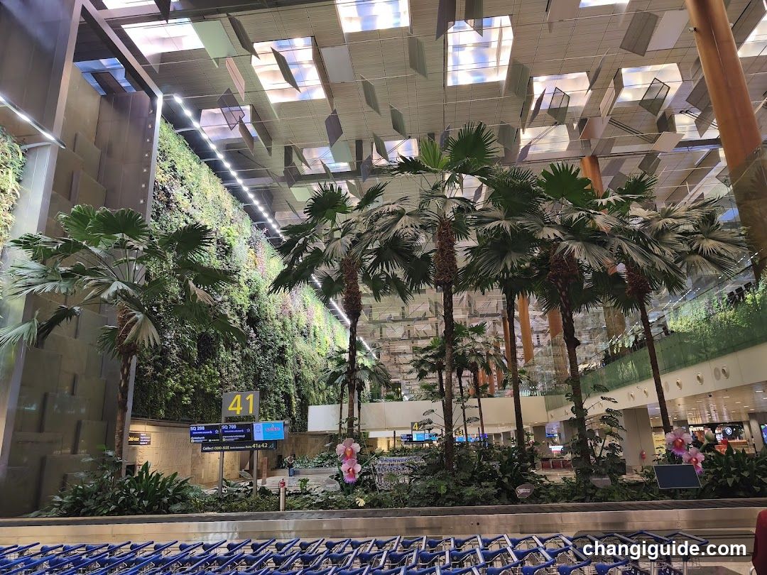 Airport Terminal Interior with Greenery