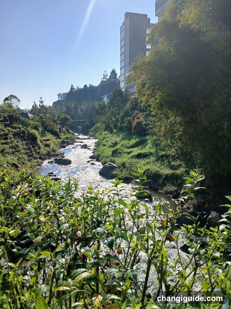 Stream in a lush green area with buildings nearby