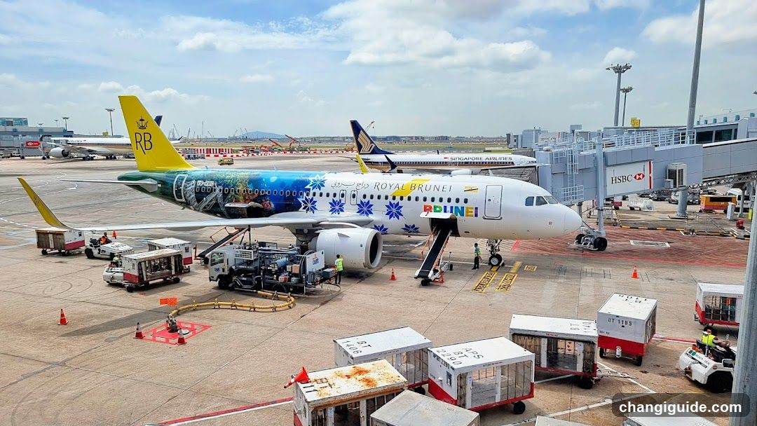 Airplane at Airport Gate
