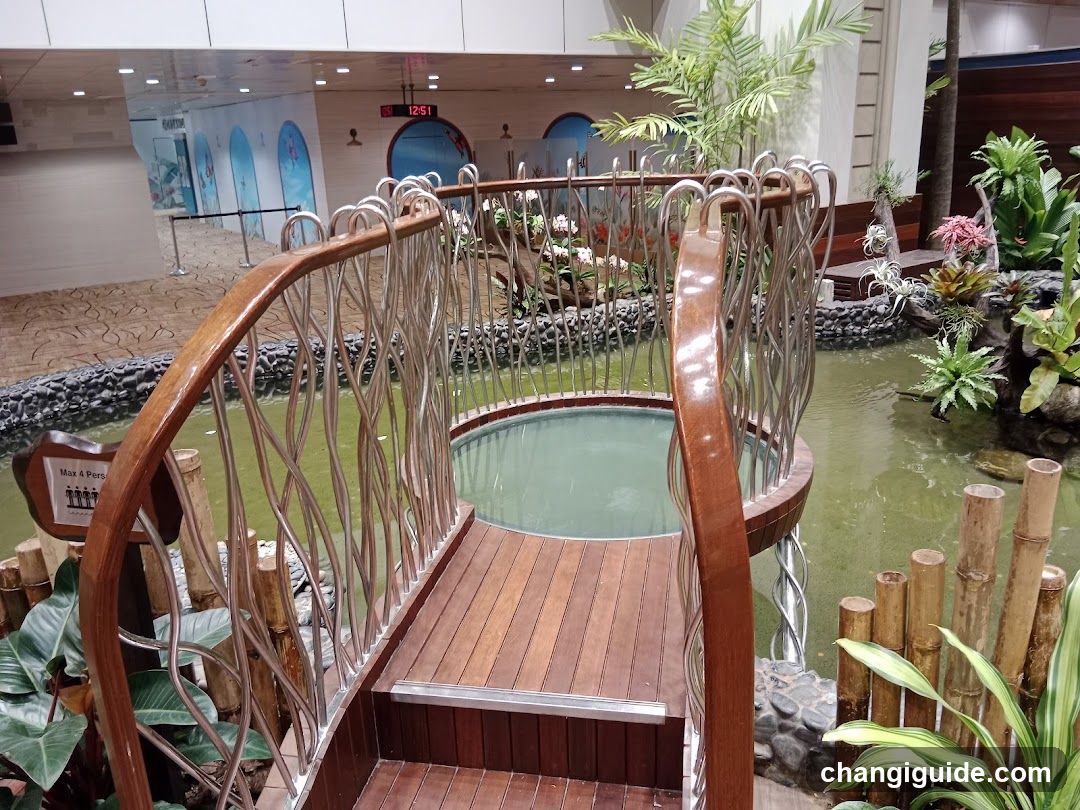Indoor Hot Tub and Water Feature