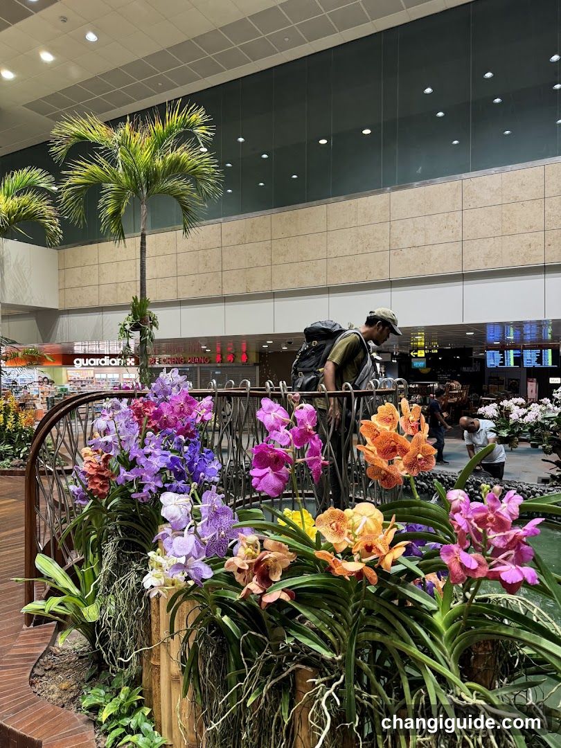 Airport Garden Interior