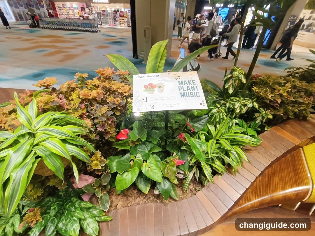 Plant Display with Signage