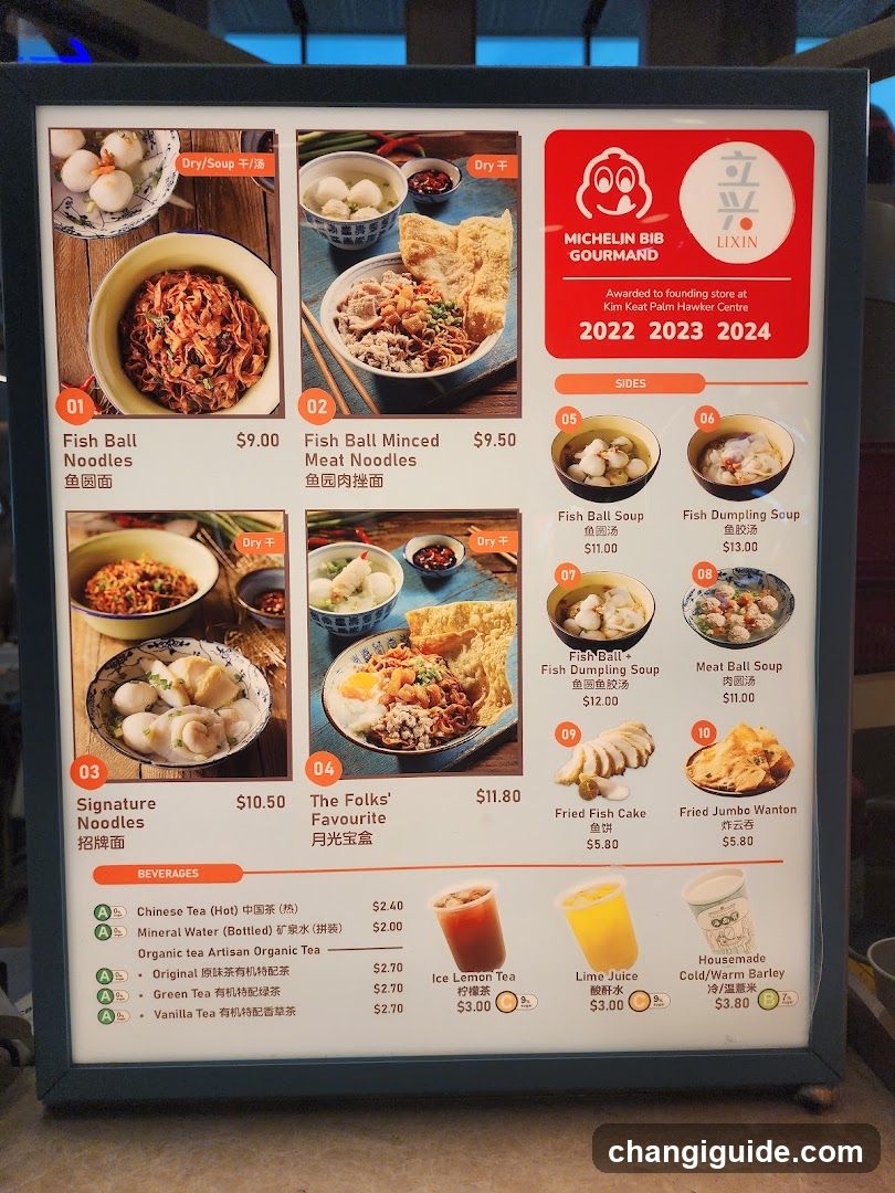 LiXin Teochew Fishball Noodles - Changi Airport T1 Transit