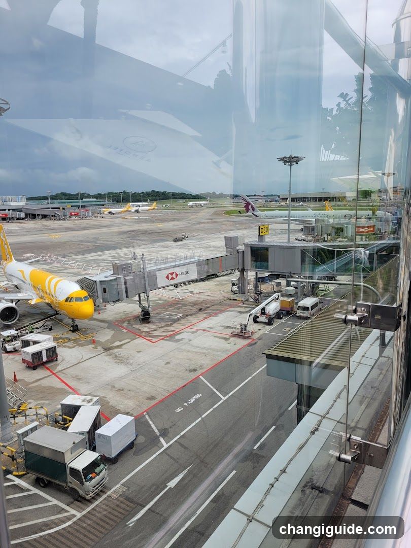 Airport Terminal View