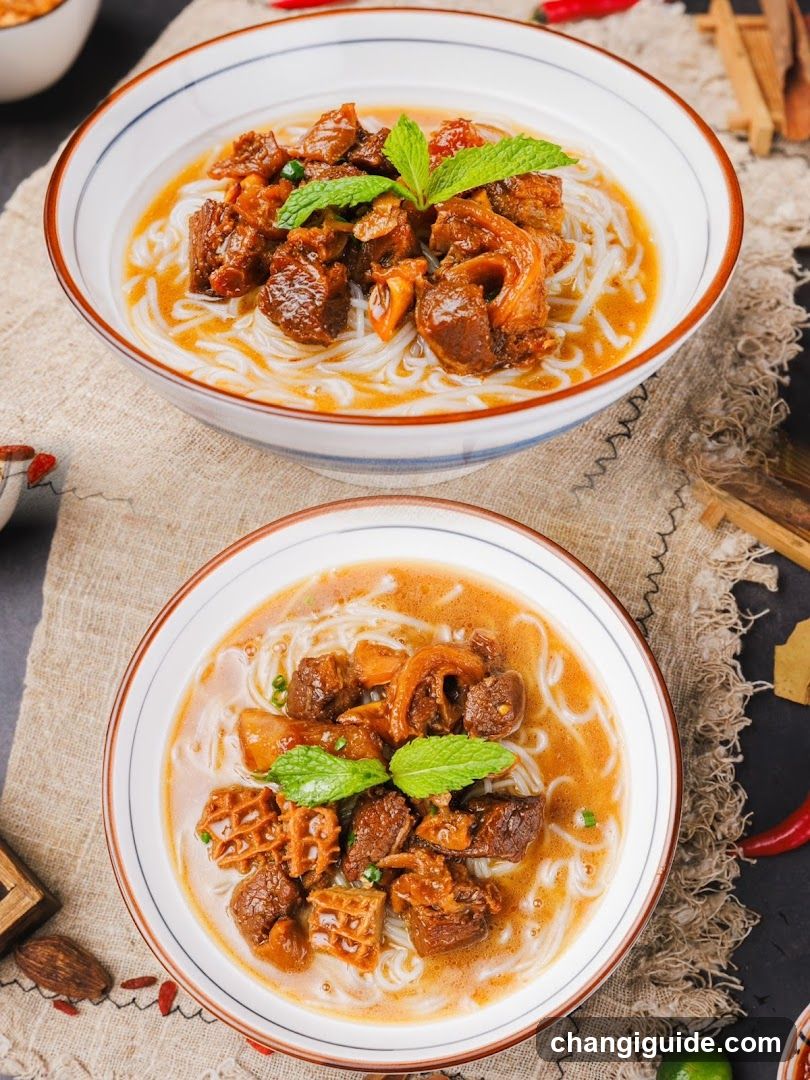 Braised Beef Noodles with Mint Garnish