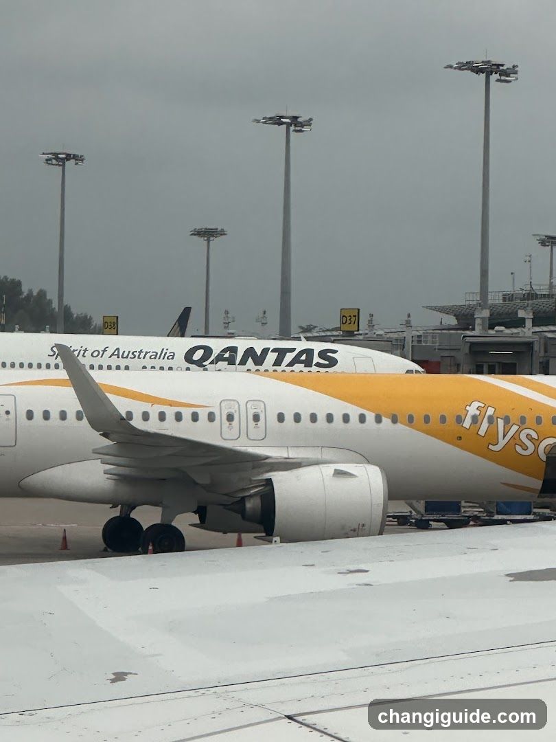 Airport Tarmac with Qantas and Flysco planes
