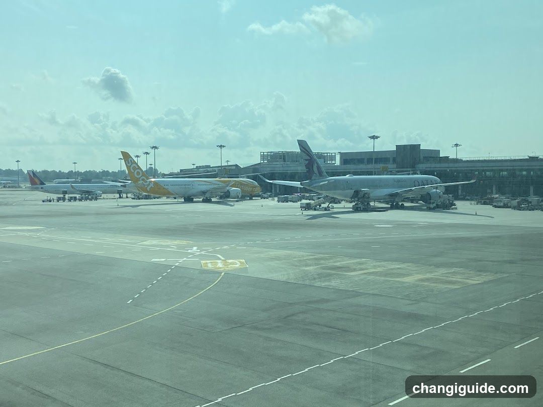 Airport Tarmac View