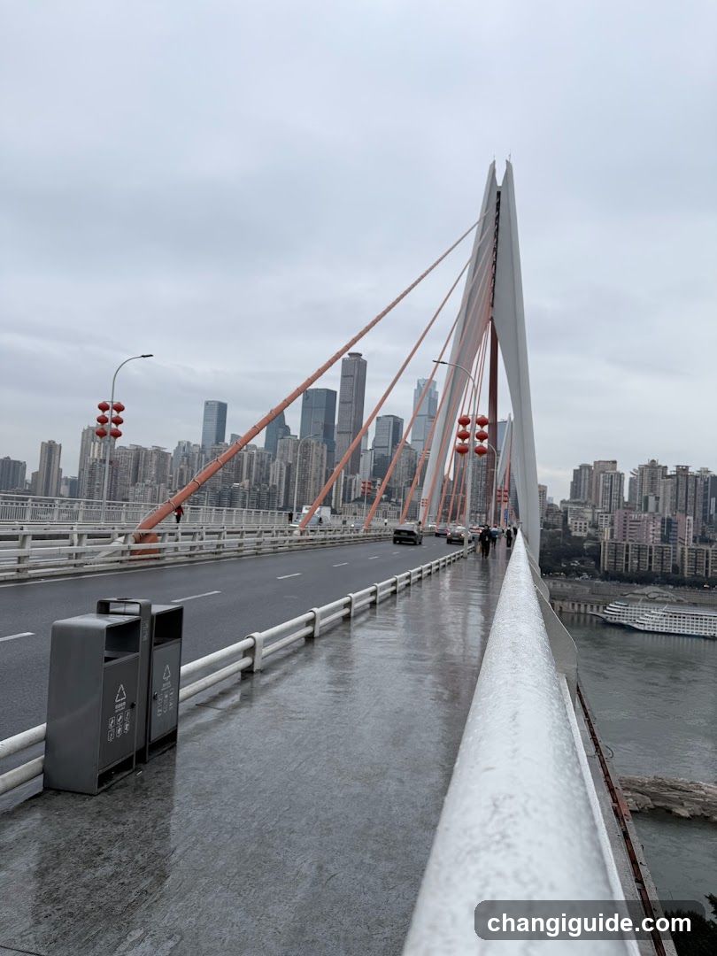 Bridge with City Skyline