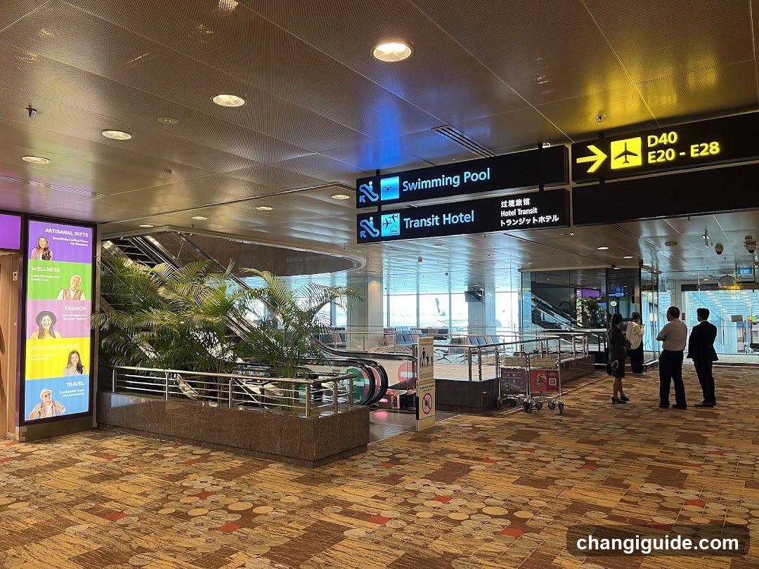 Airport Terminal Interior