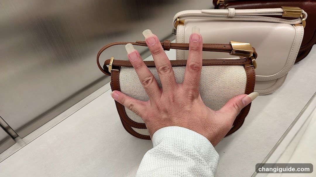 Hand holding a small handbag