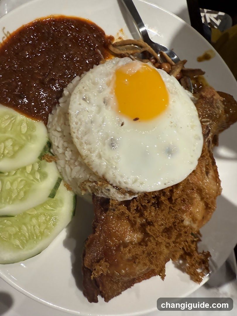 Fried Chicken with Rice and Sauce