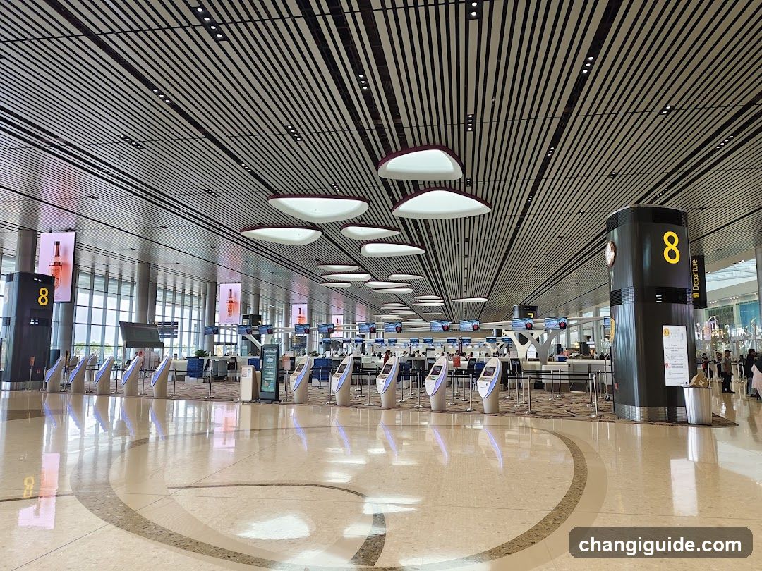 Airport Terminal Gate Area