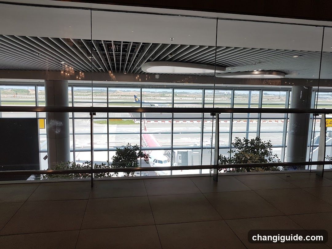 Airport Terminal View