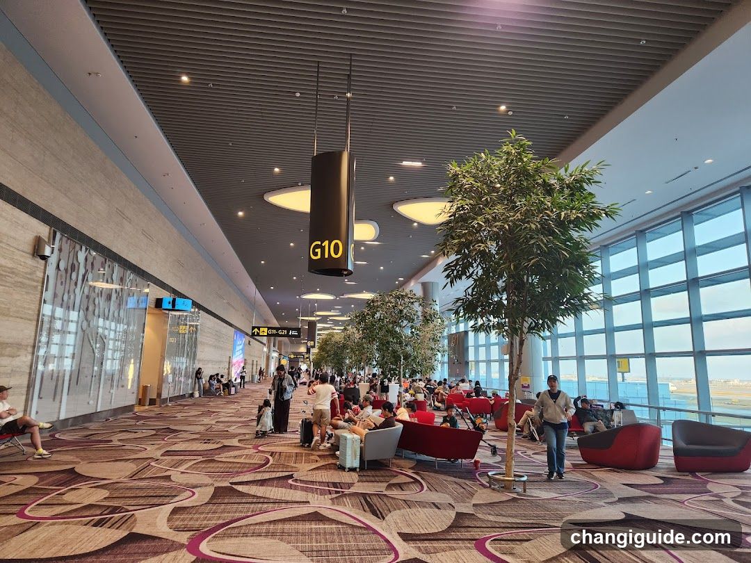 Airport Terminal G10 Interior