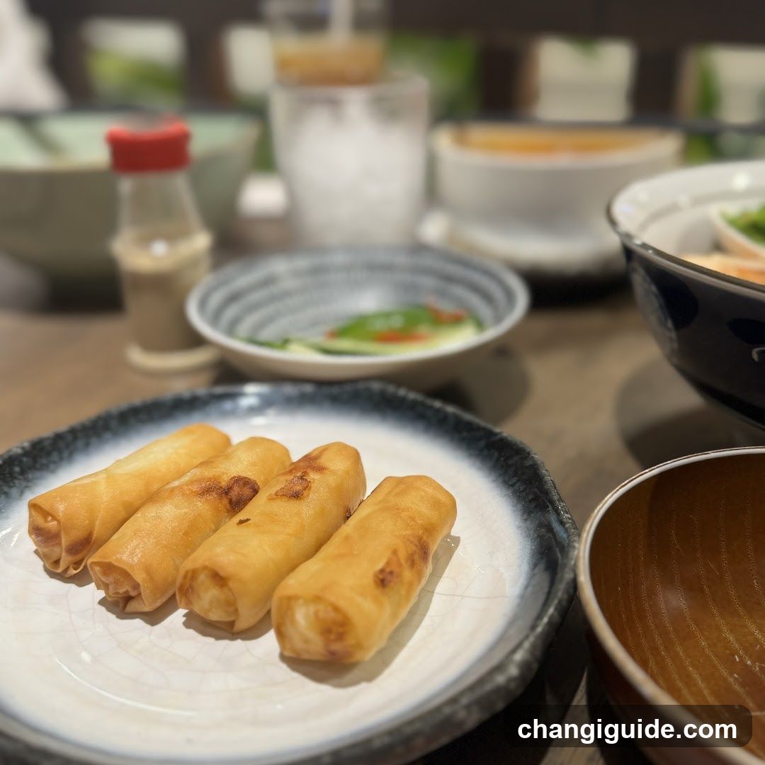 Spring Rolls on a Plate